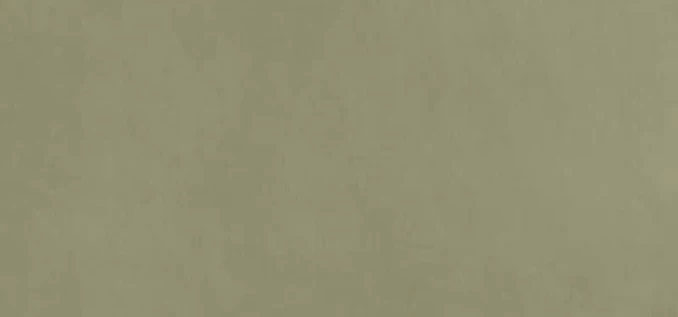 YOUR MATCH LEAF RIV. 50x120-Keramicka plocica