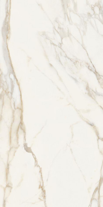 MAGNIFICENT CALACATTA L/R 60*120