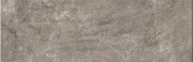 PR ALBA GRIS PRI. 20x60