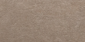 LIGHT STONE TAUPE 25x50