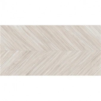 ESS. RLV. CHEVRON NUBOLE 60X120