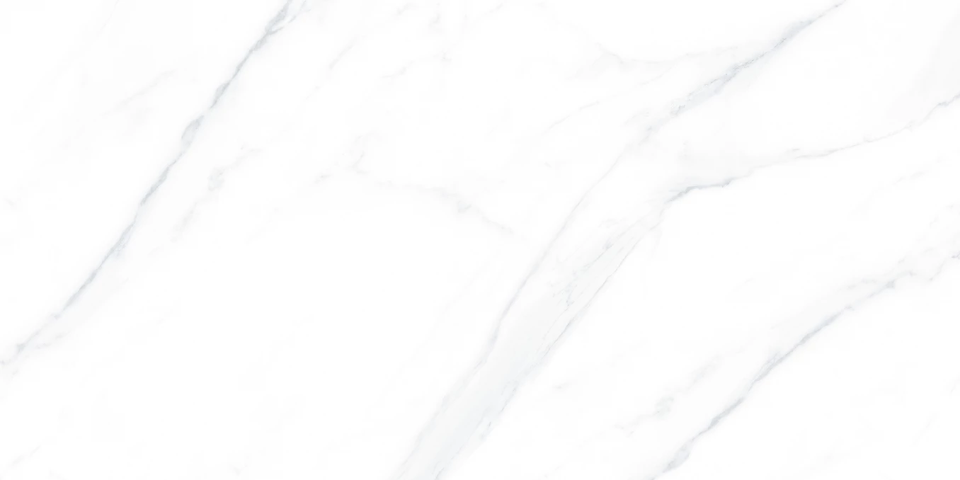 CARRARA WHITE RETT 30x60  Z110-Keramicka plocica