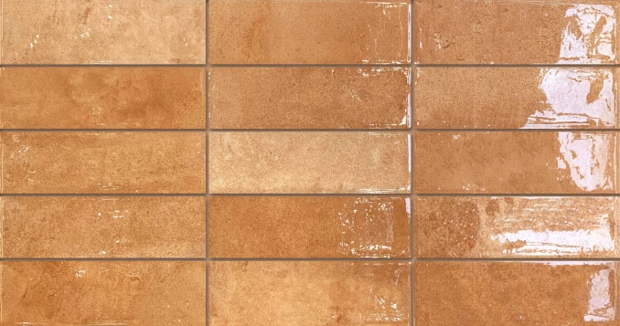 PRIS.PRE.PONTO COTTO 31.6x60-Keramicka plocica