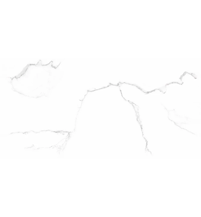 GPT1118 WHITE SILVER MATT 59.8x119.8 RETT DX-Keramicka plocica