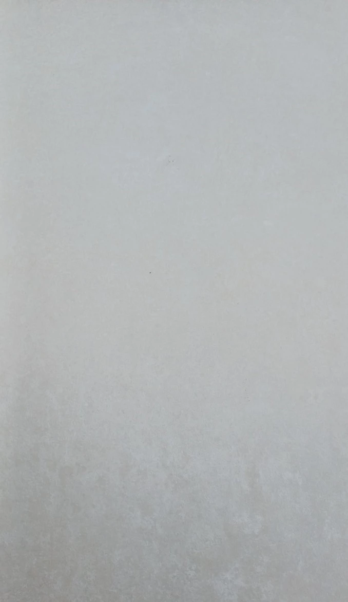 ROOM BG STR RT 60x120 -Keramicka plocica