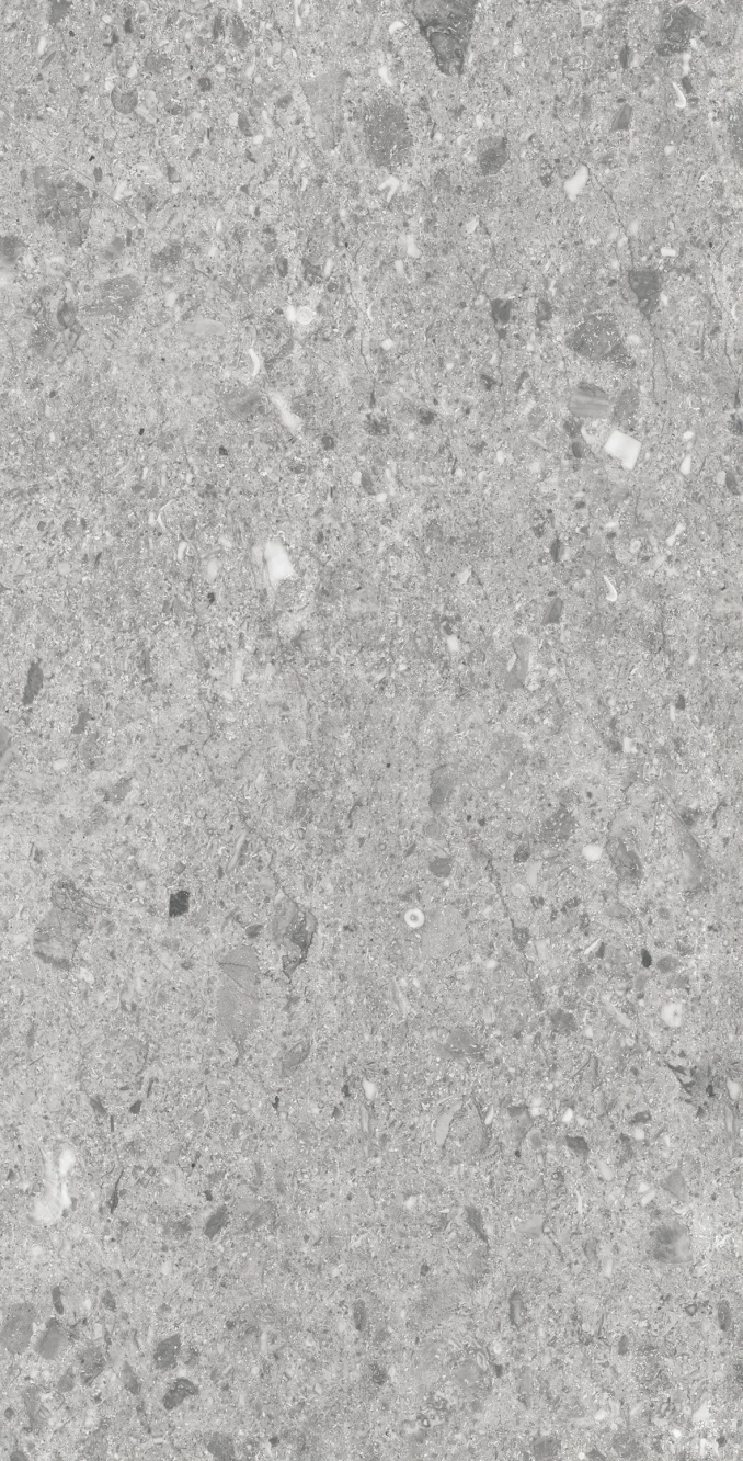 BZ 50020 GRIS GLOSSY 60x120 -Keramicka plocica